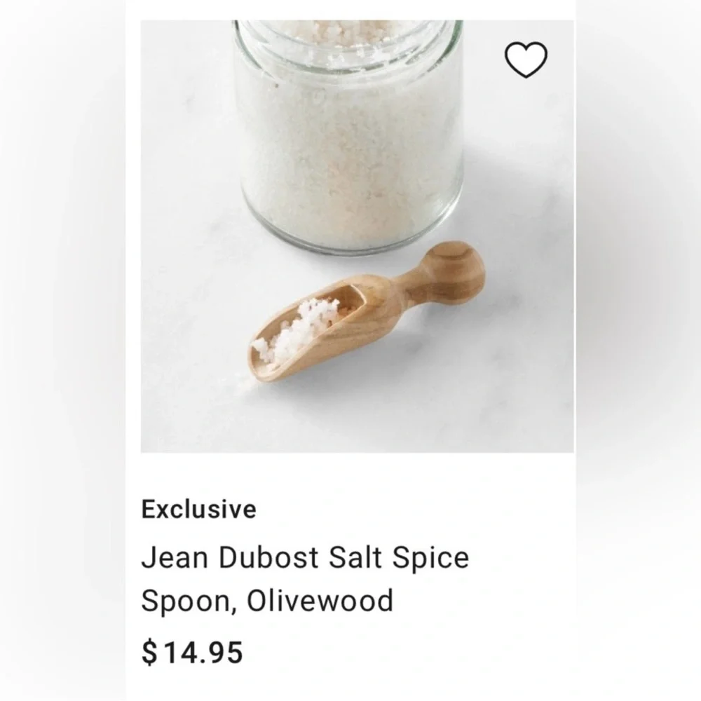 Williams Sonoma Jean dubost Olive Wood salt spice Scoop